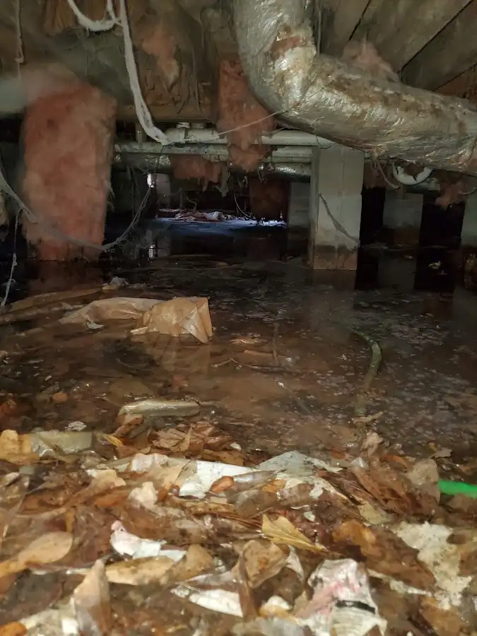 Crawl space flood assessment for Leak Detection & Repair in Lakewood