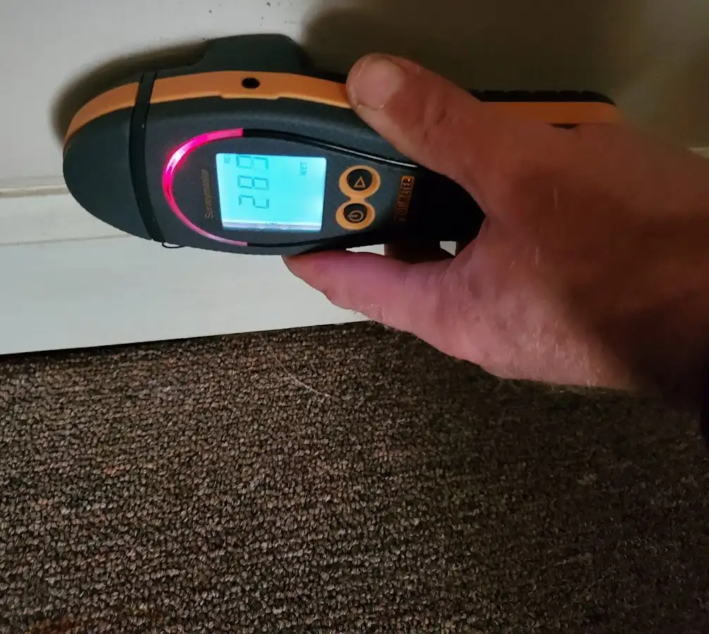 Moisture detection at baseboard during Mold Inspection & Testing in Lakewood