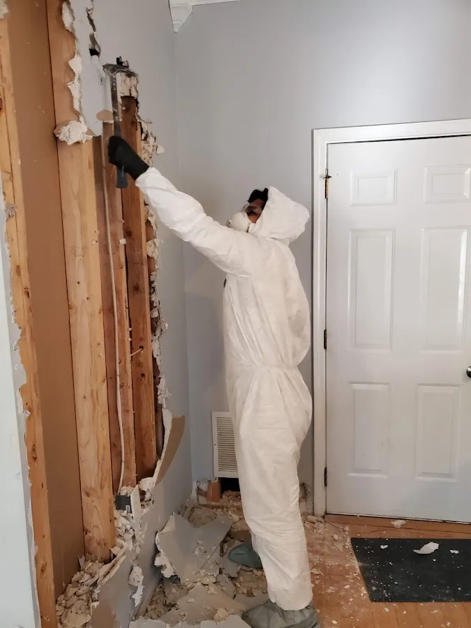 Mold Inspection & Testing in Lakewood, WA